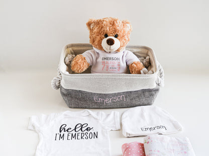 Teddy Bear Newborn Baby Welcome Home Gift Basket